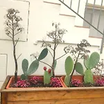 아파트 Dimora Al Piano *