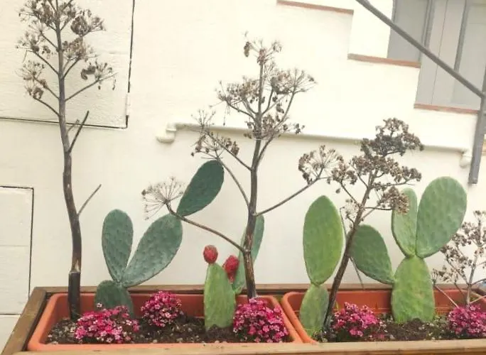 Appartamento Dimora Al Piano *